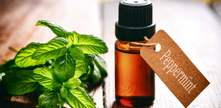 Benefits of Peppermint Oil for Hair | Maybe May